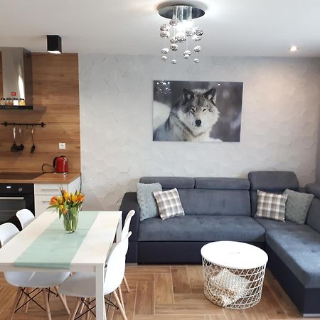 Boguszów-Gorce Apartamenty Pod Dzikowcem מראה חיצוני תמונה