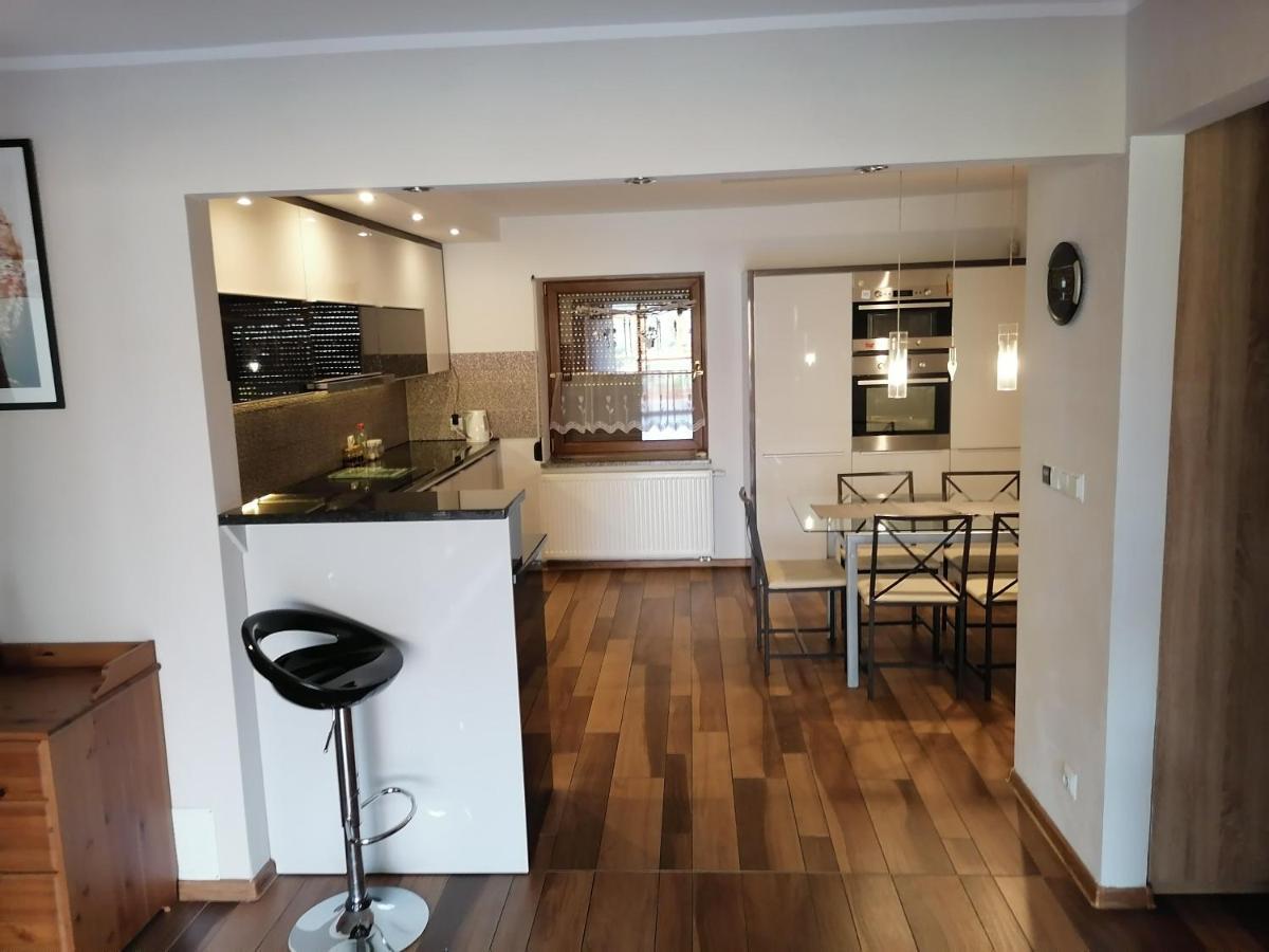 Boguszów-Gorce Apartamenty Pod Dzikowcem מראה חיצוני תמונה
