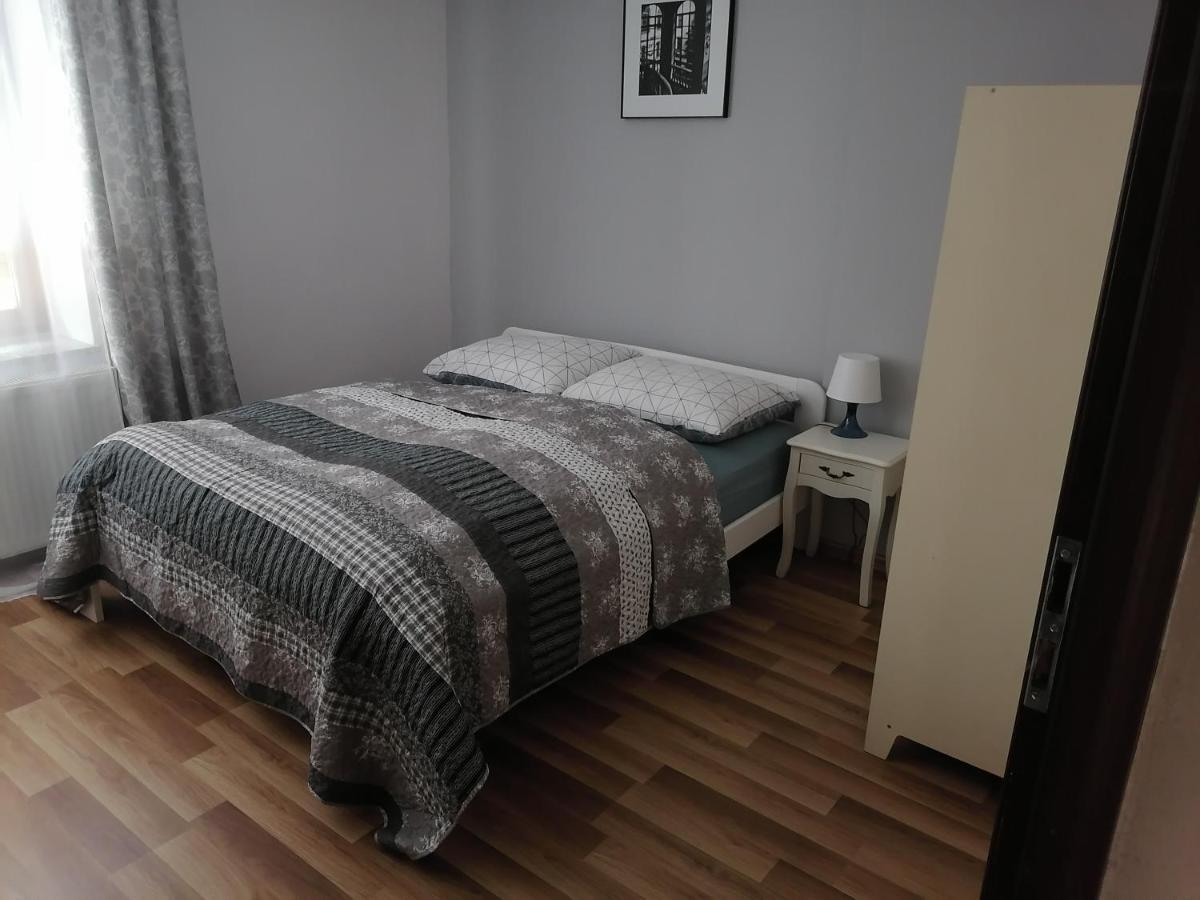 Boguszów-Gorce Apartamenty Pod Dzikowcem מראה חיצוני תמונה