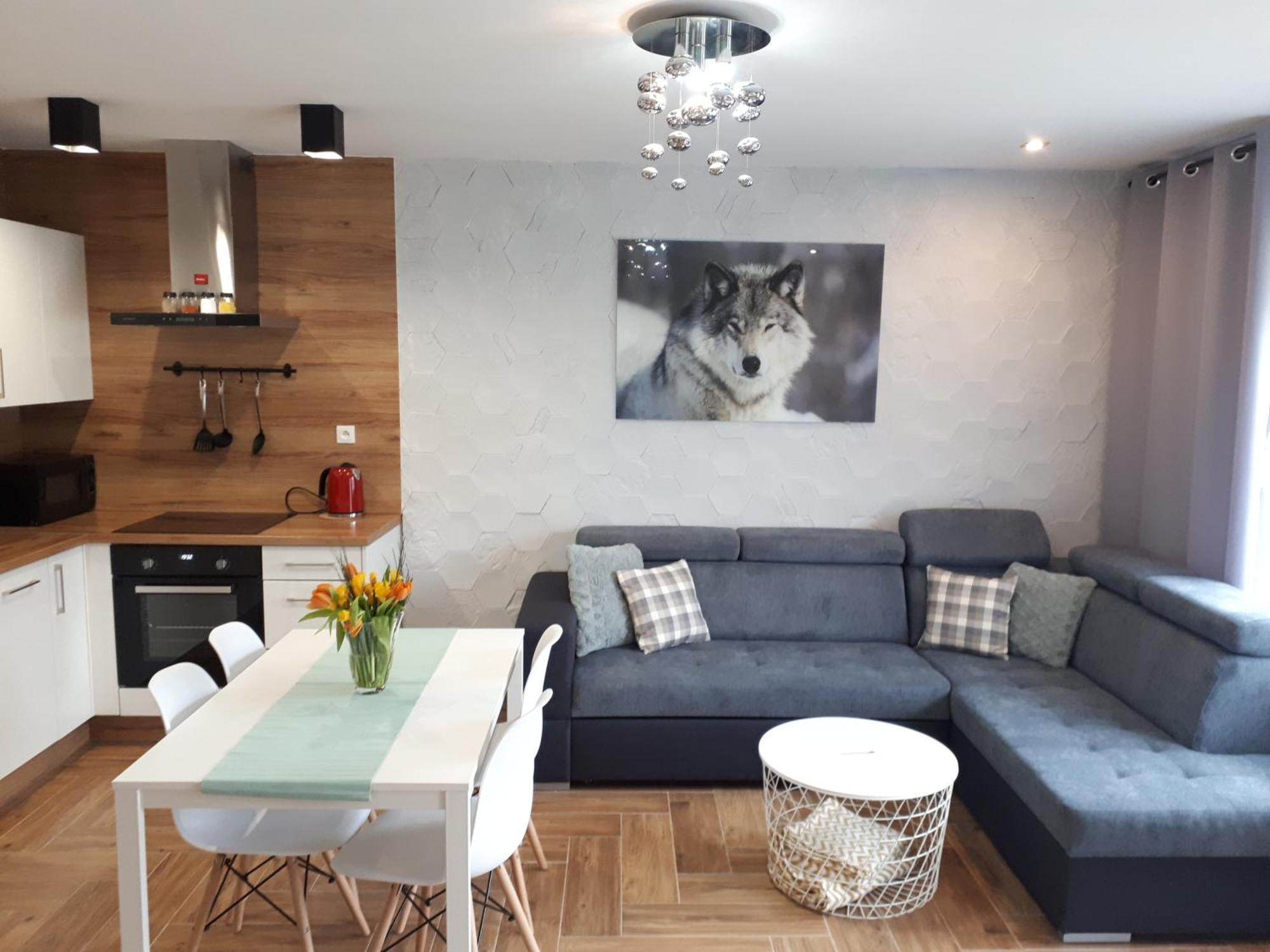 Boguszów-Gorce Apartamenty Pod Dzikowcem מראה חיצוני תמונה