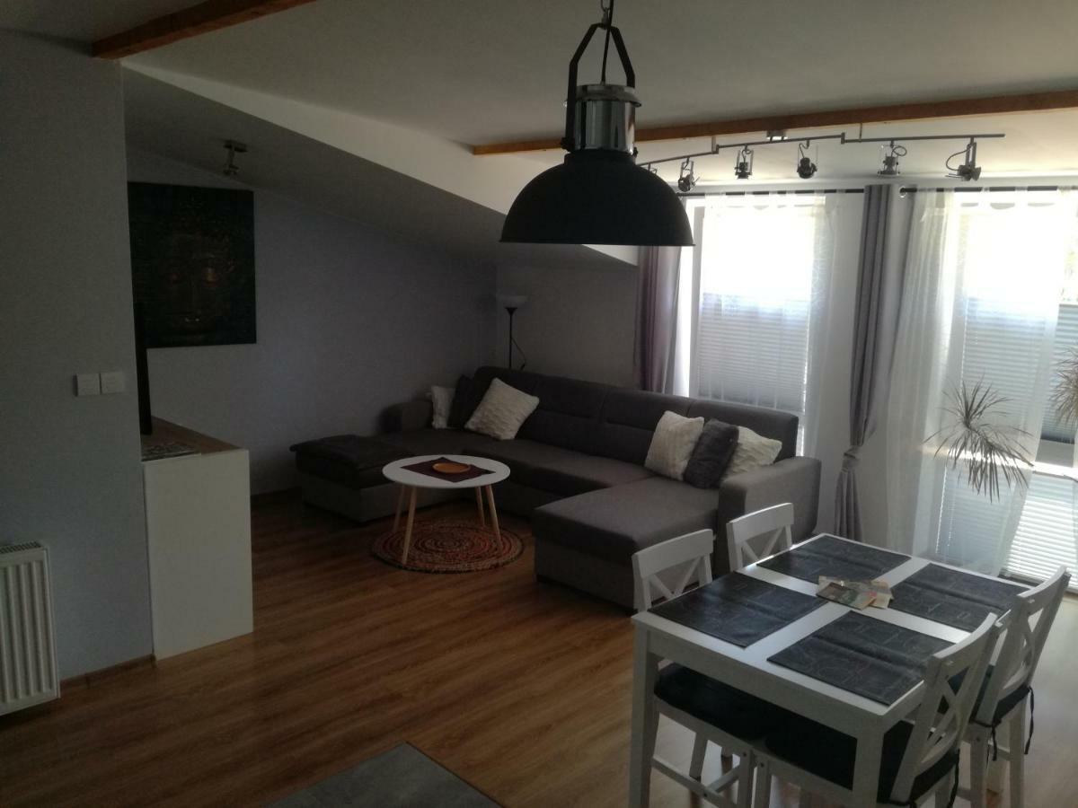 Boguszów-Gorce Apartamenty Pod Dzikowcem מראה חיצוני תמונה